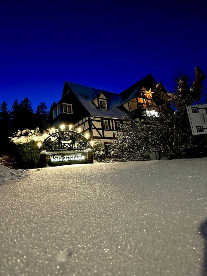 Helenenhof Hotell Altenberg  Exteriör bild